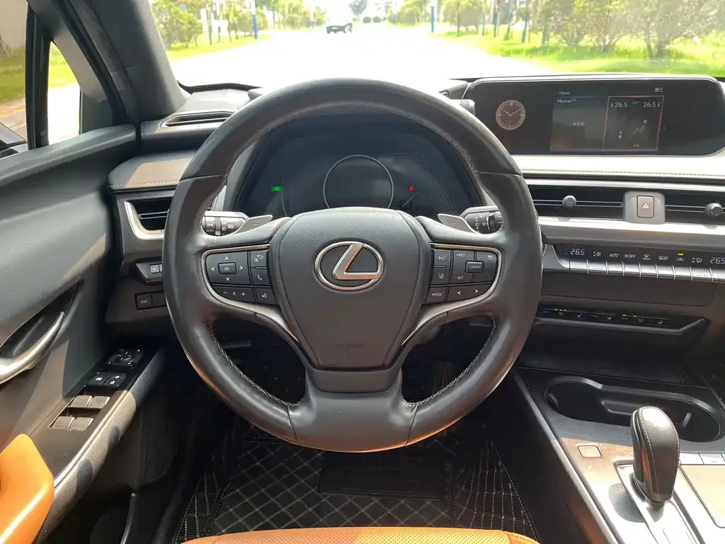 Lexus UX New Energy — фото 9