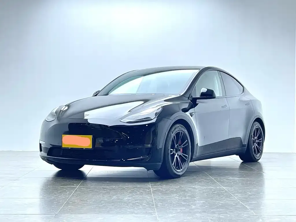 Tesla Model Y 2021 из CN, фото 1