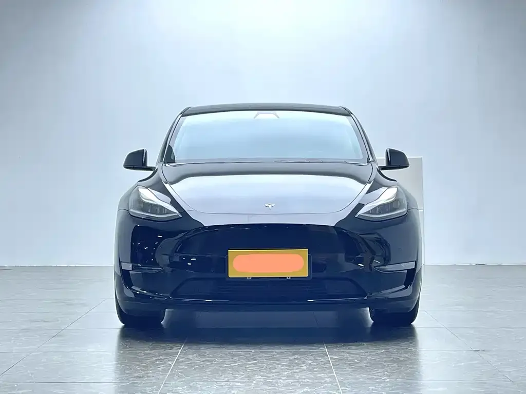 Tesla Model Y 2021 из CN, фото 2
