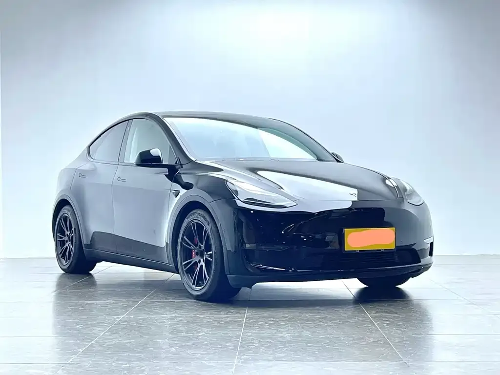 Tesla Model Y 2021 из CN, фото 3
