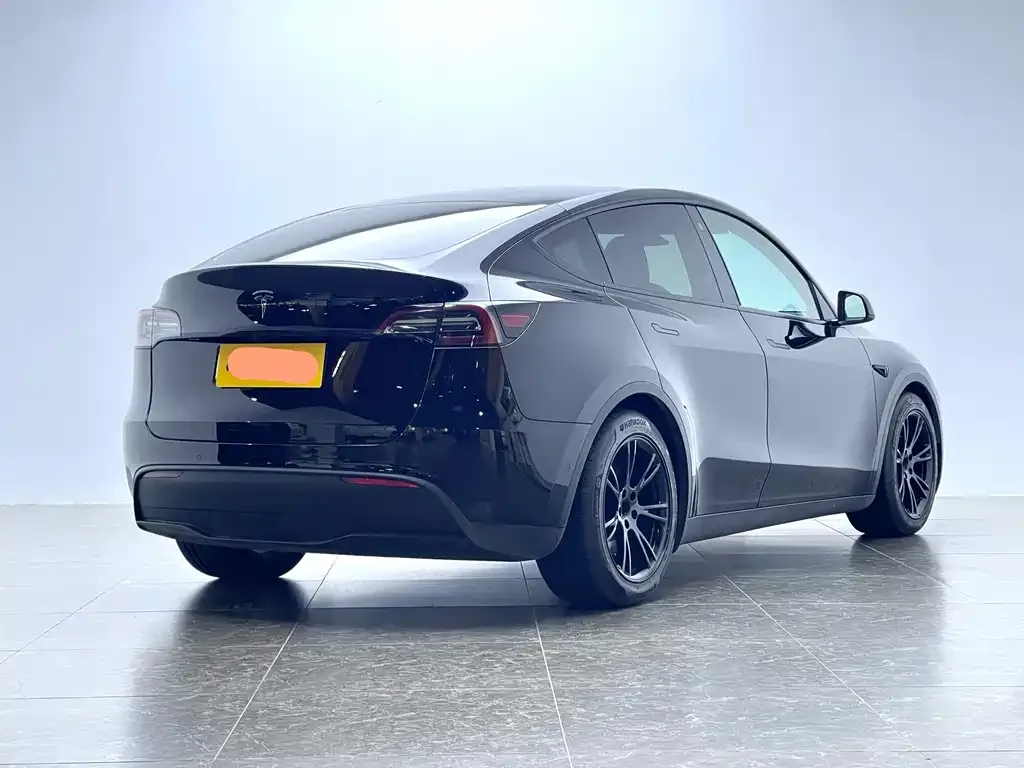 Tesla Model Y 2021 из CN, фото 4