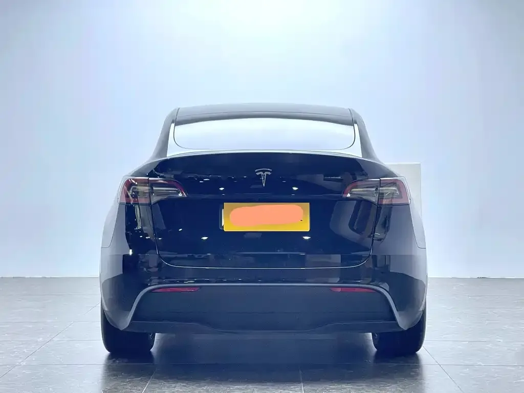 Tesla Model Y 2021 из CN, фото 5