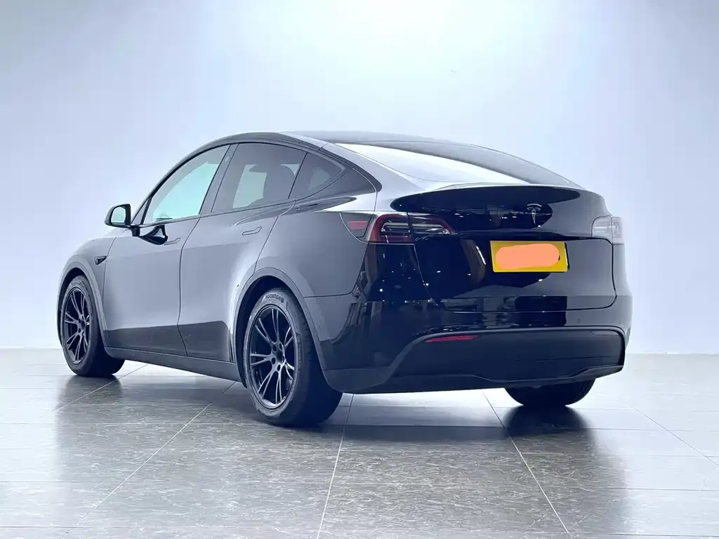 Tesla Model Y 2021 из CN, фото 6