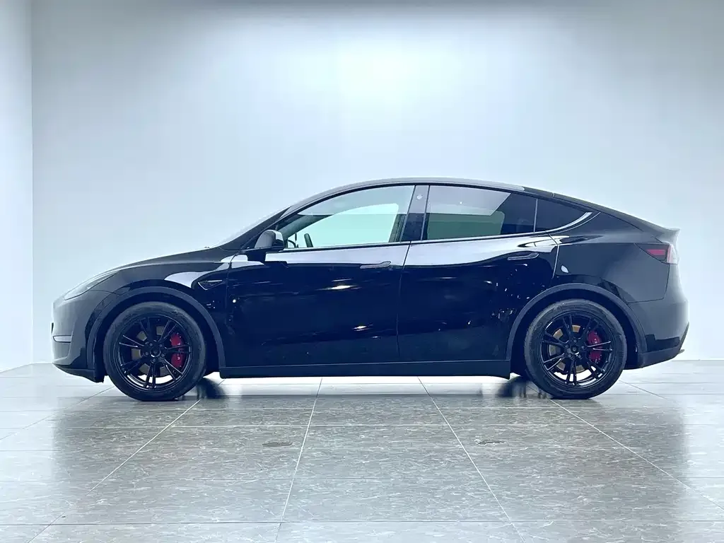 Tesla Model Y 2021 из CN, фото 7