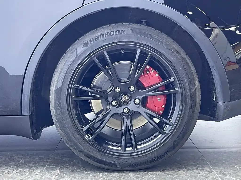 Tesla Model Y 2021 из CN, фото 8