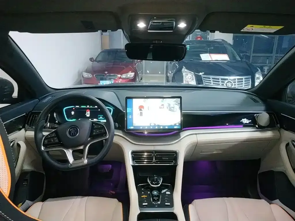 BYD PLUS New Energy — фото 10
