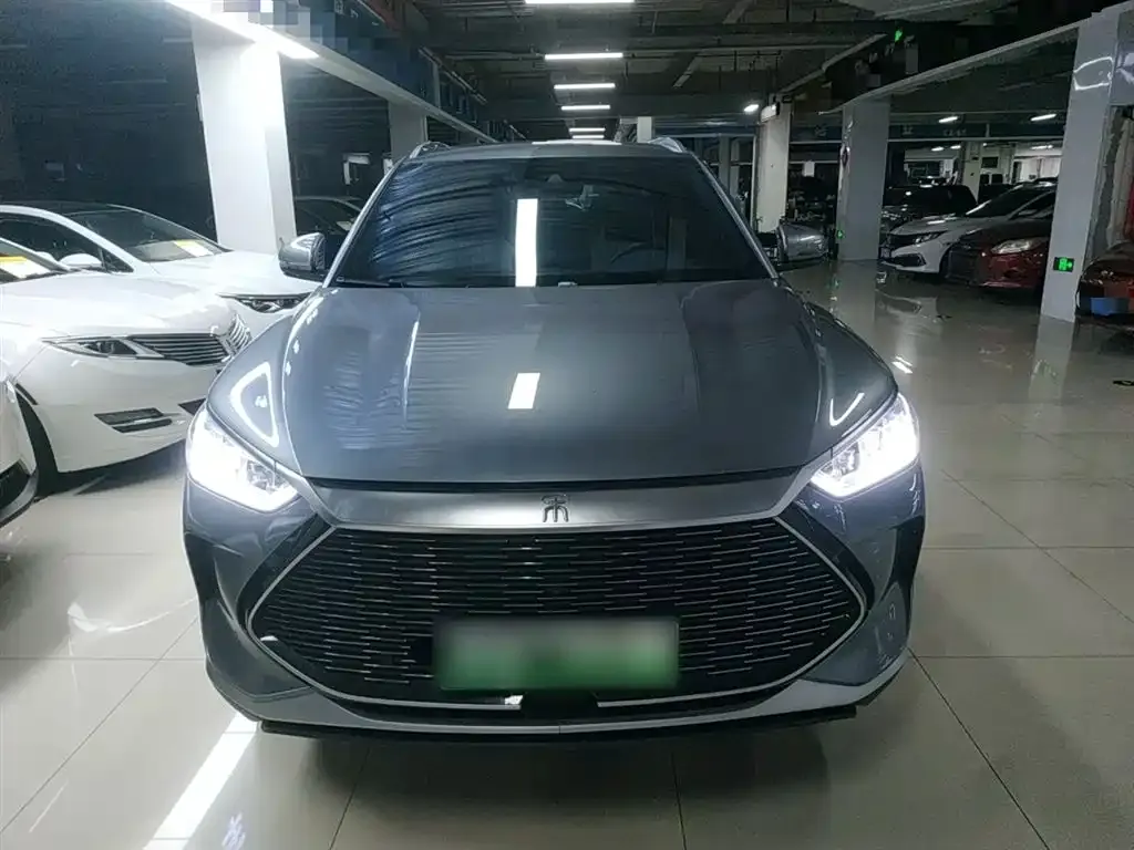 BYD PLUS New Energy — фото 3