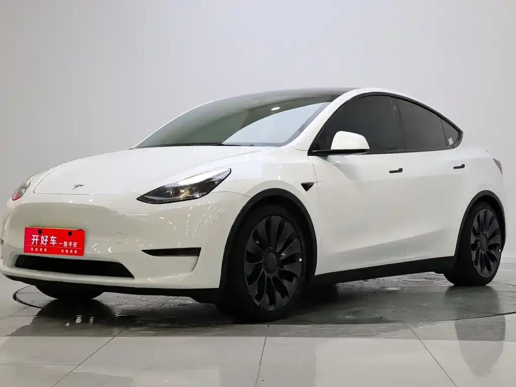 Tesla Model Y — фото 1