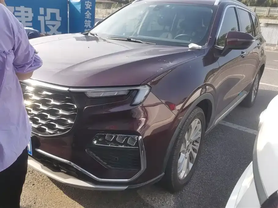 Ford Territory 2021 из CN, фото 1