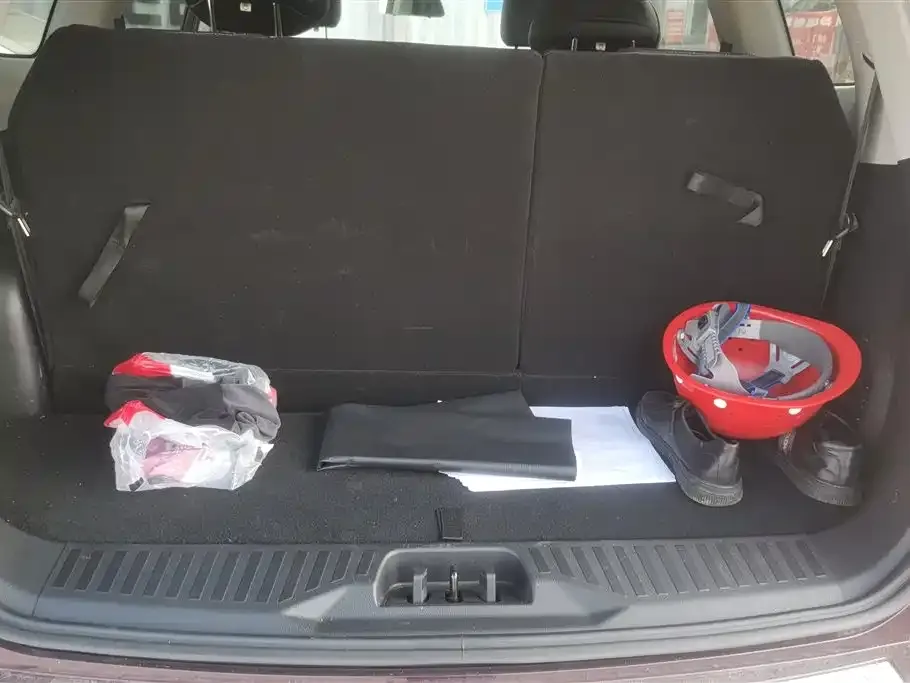 Ford Territory 2021 из CN, фото 4
