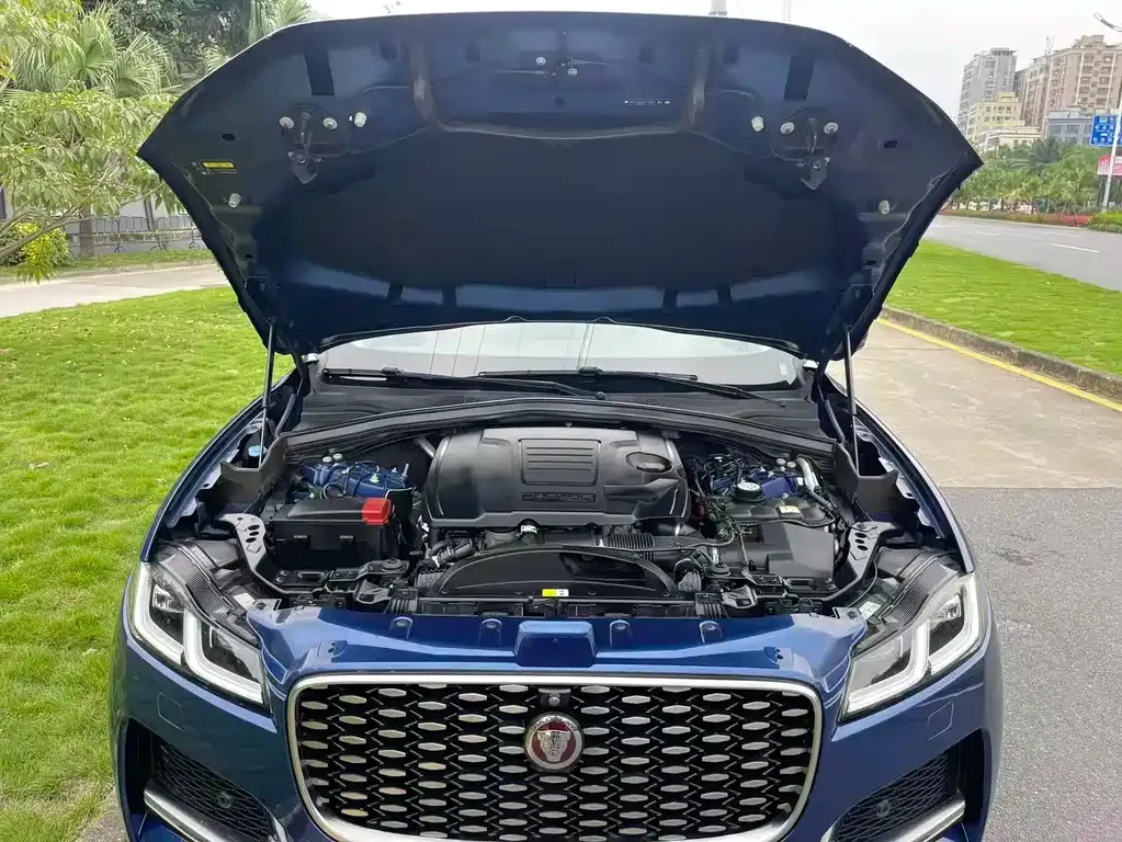 Jaguar F-PACE 2023 из CN, фото 8