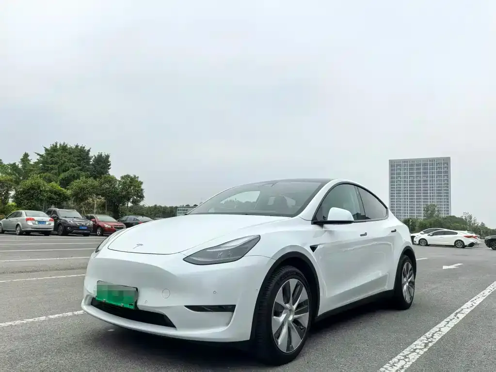 Tesla Model Y 2022 из CN, фото 1