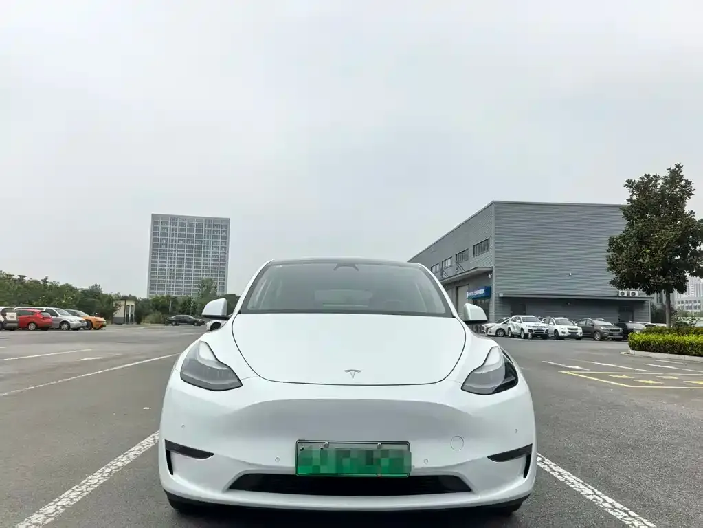 Tesla Model Y 2022 из CN, фото 2
