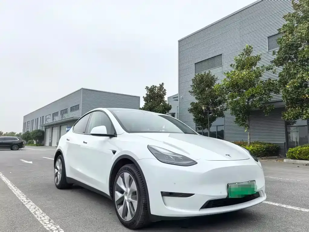 Tesla Model Y 2022 из CN, фото 3