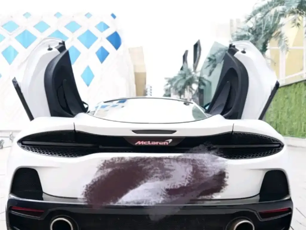 McLaren GT 2021 из CN, фото 6
