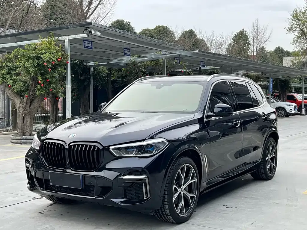 BMW X5 2022 из CN, фото 1