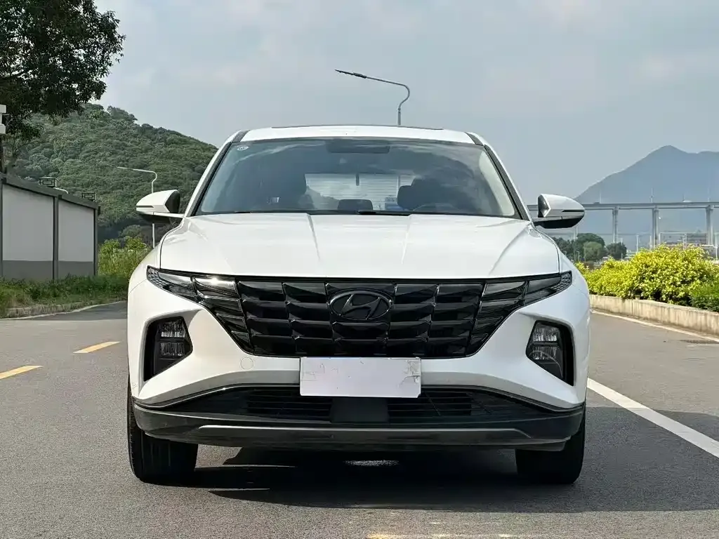 Hyundai Tucson 2022 из CN, фото 1
