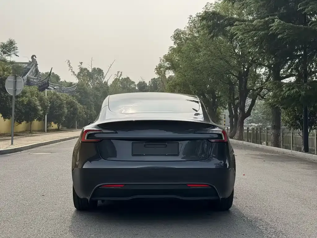 Tesla Model 3 2025 из CN, фото 5