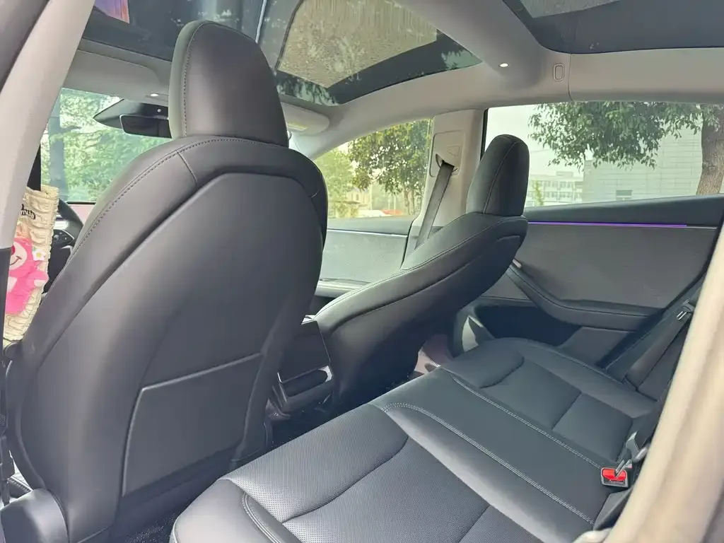 Tesla Model 3 2025 из CN, фото 8