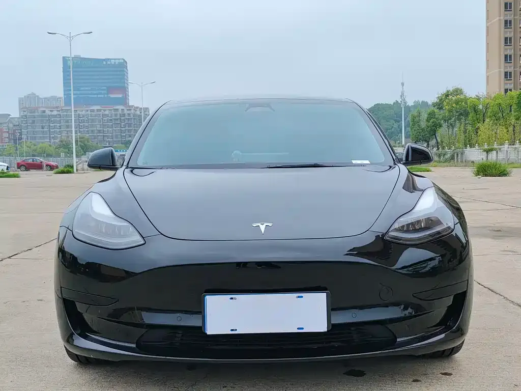 Tesla Model 3 2022 из CN, фото 2