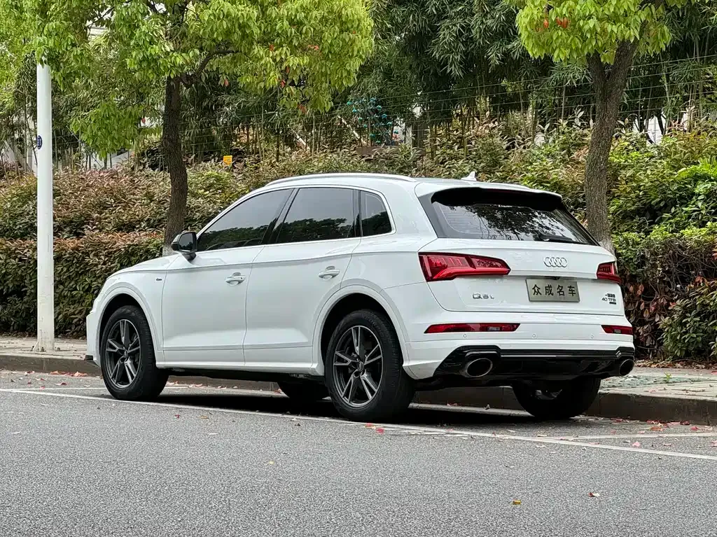 Audi Q5L 2021 из CN, фото 4