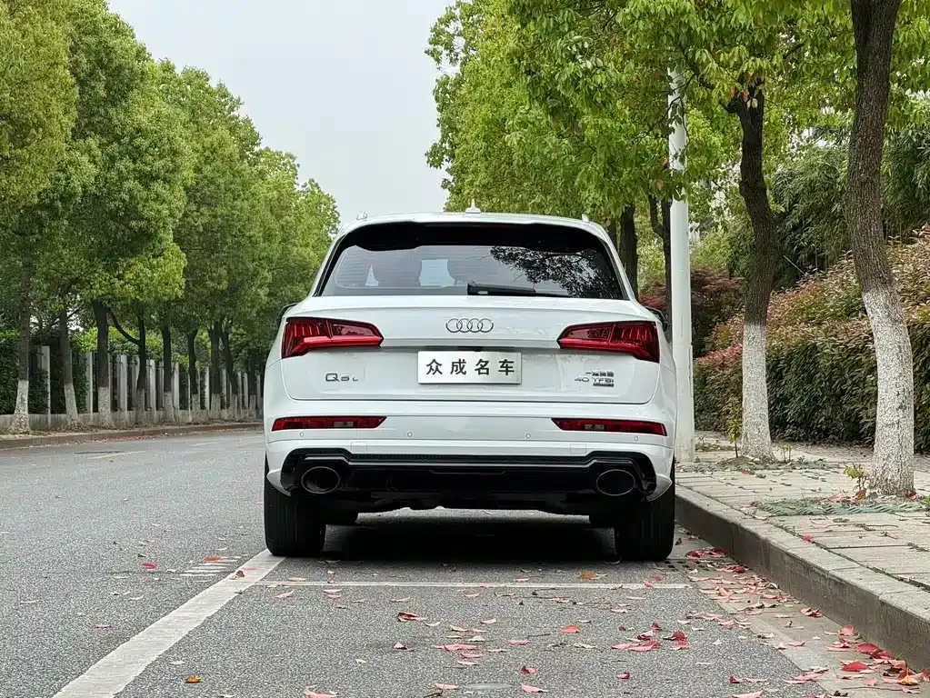 Audi Q5L 2021 из CN, фото 5
