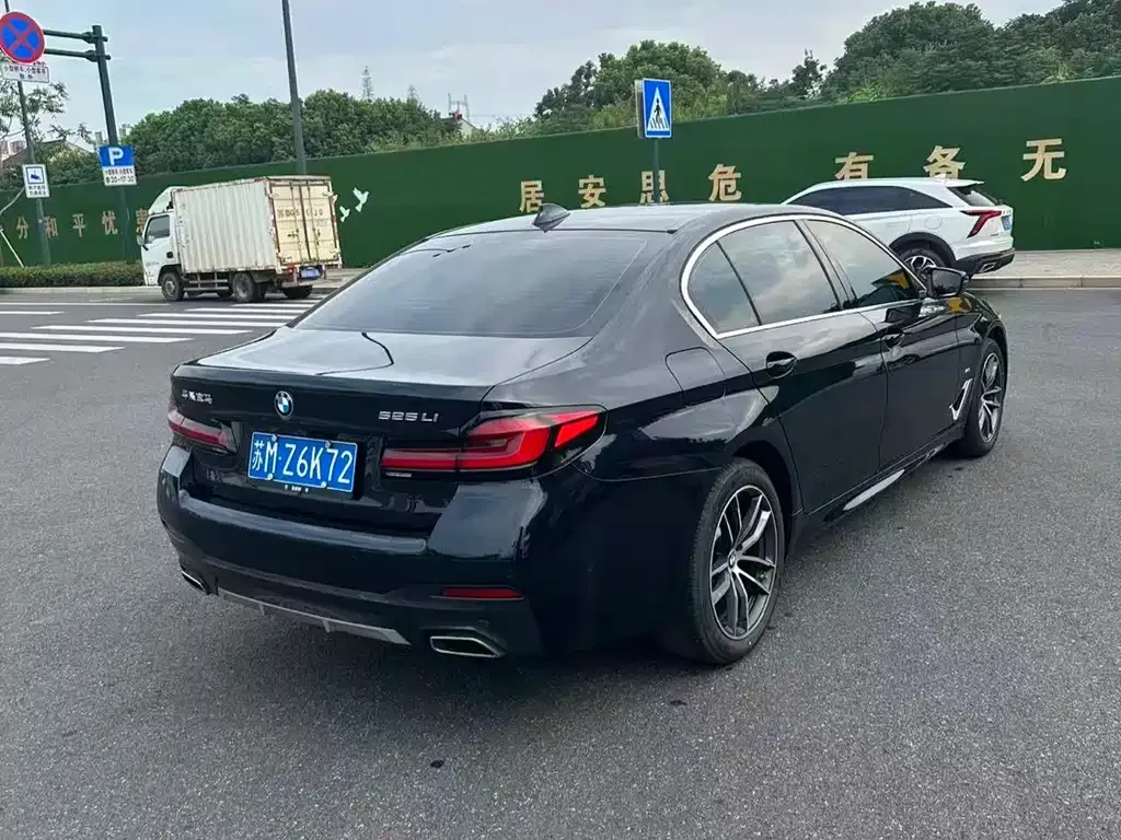 BMW 5 Series 2022 из CN, фото 4