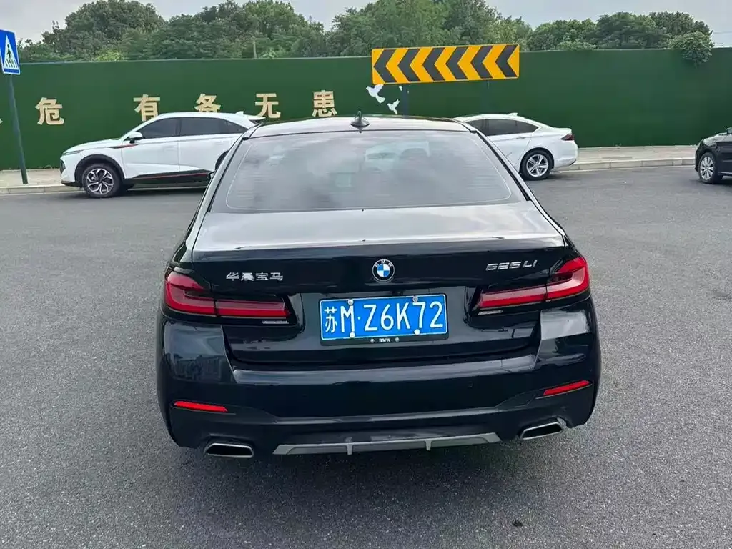 BMW 5 Series 2022 из CN, фото 5