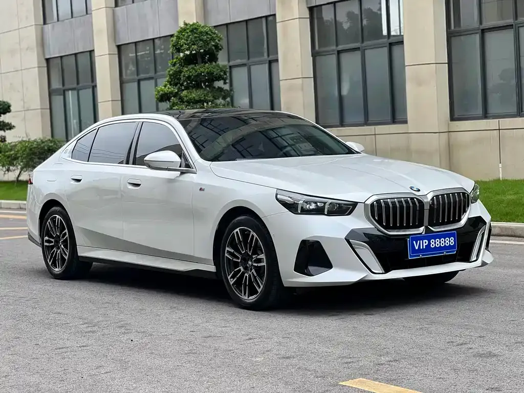 BMW 5 Series 2024 из CN, фото 4