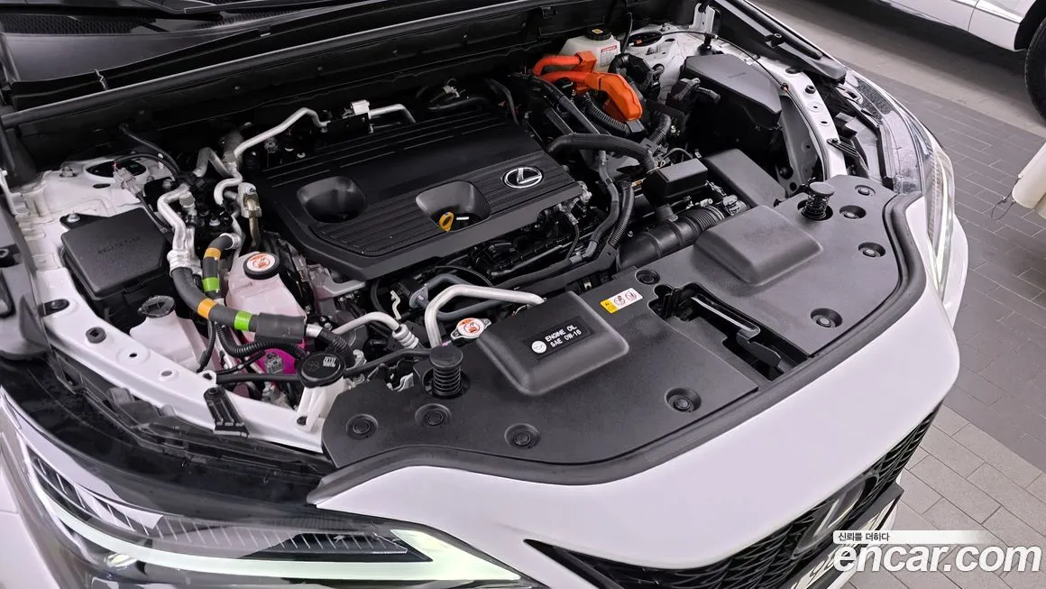 Lexus NX 2024 из KR, фото 6