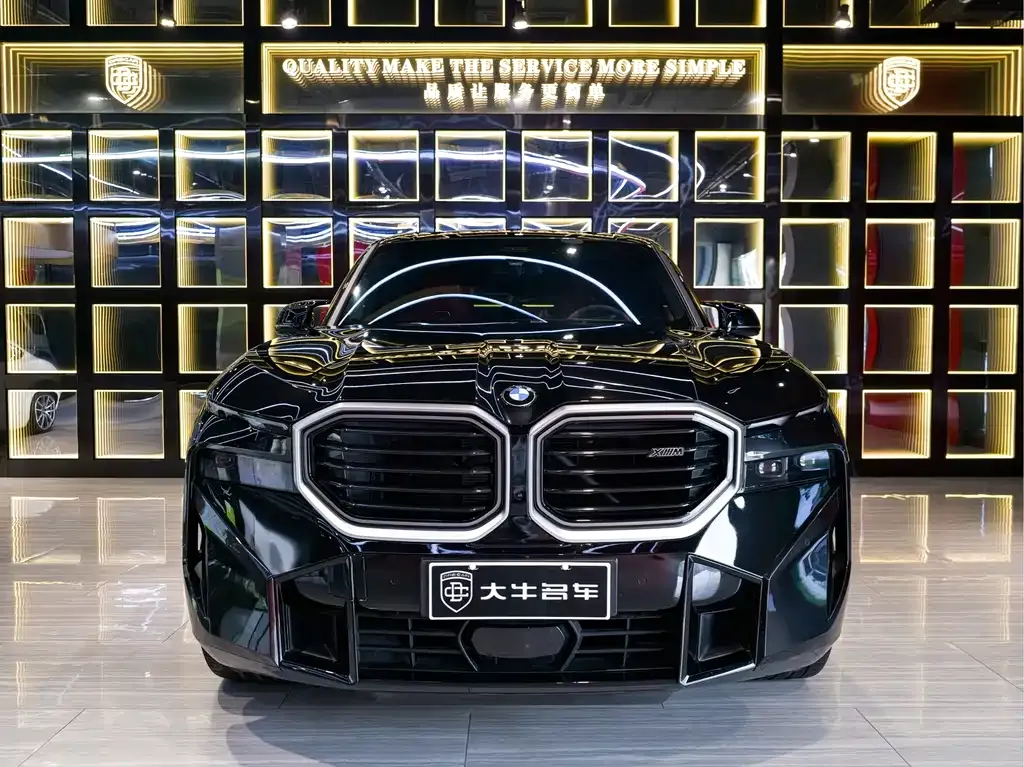 BMW XM 2025 из CN, фото 2