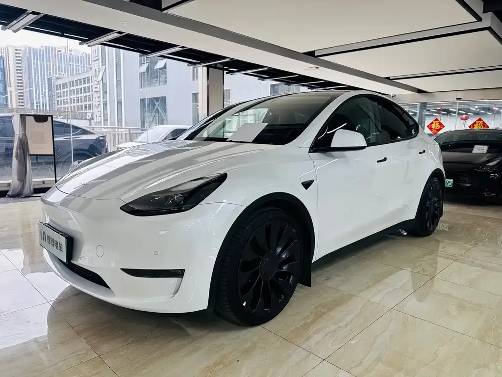 Tesla Model Y — фото 1