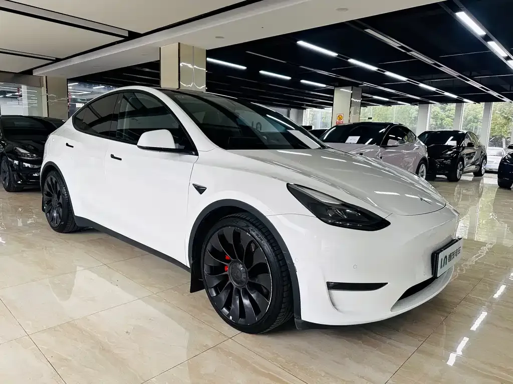 Tesla Model Y — фото 2