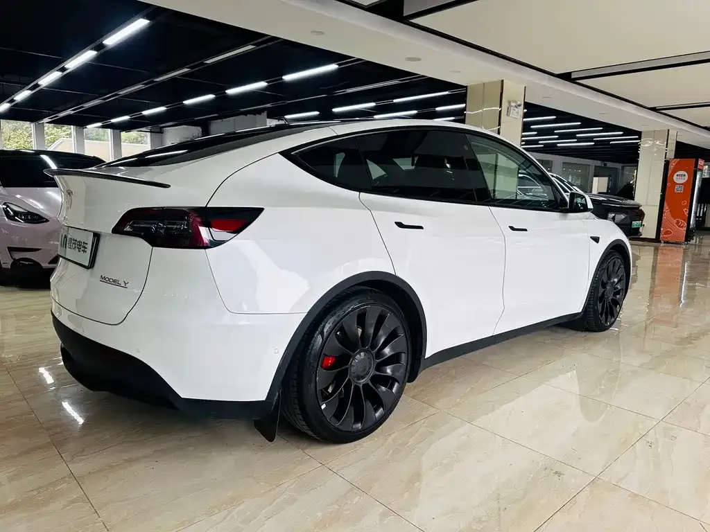 Tesla Model Y — фото 6