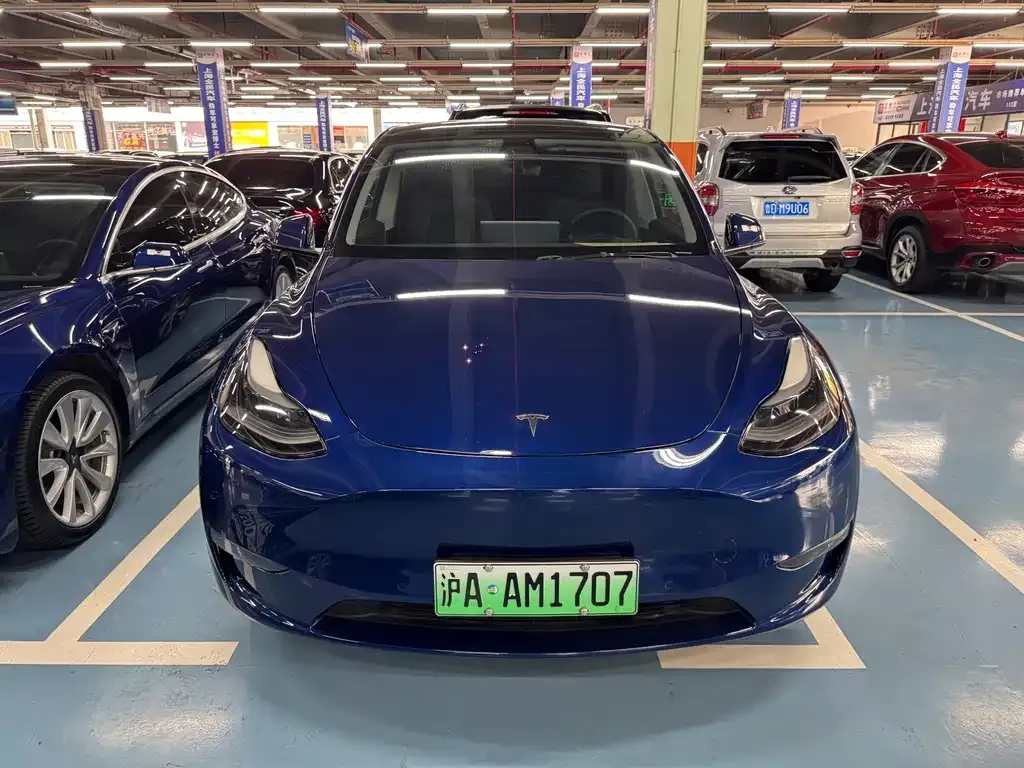 Tesla Model Y 2022 из CN, фото 1