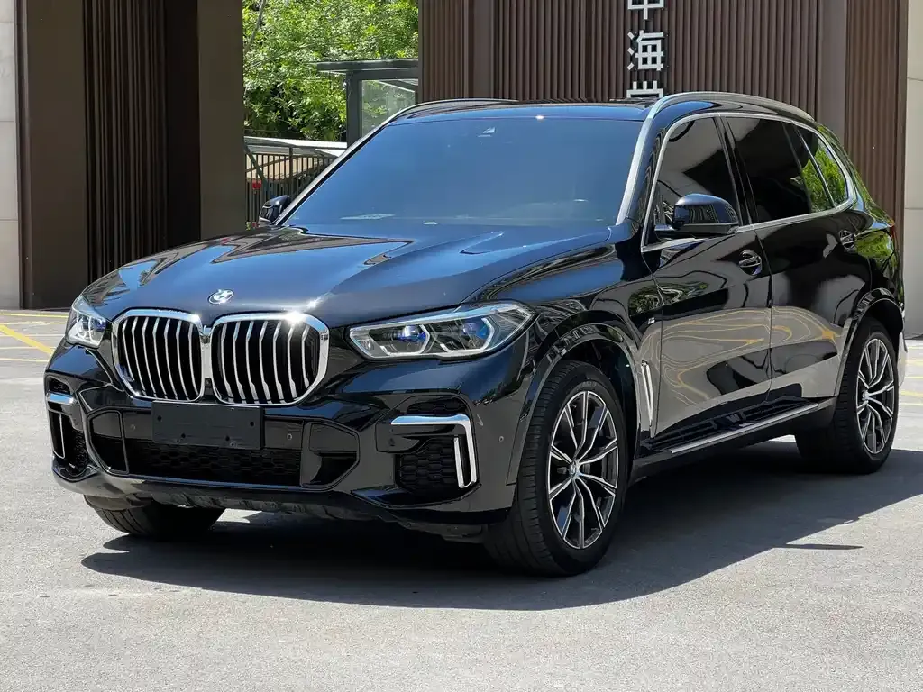 BMW X5 — фото 1
