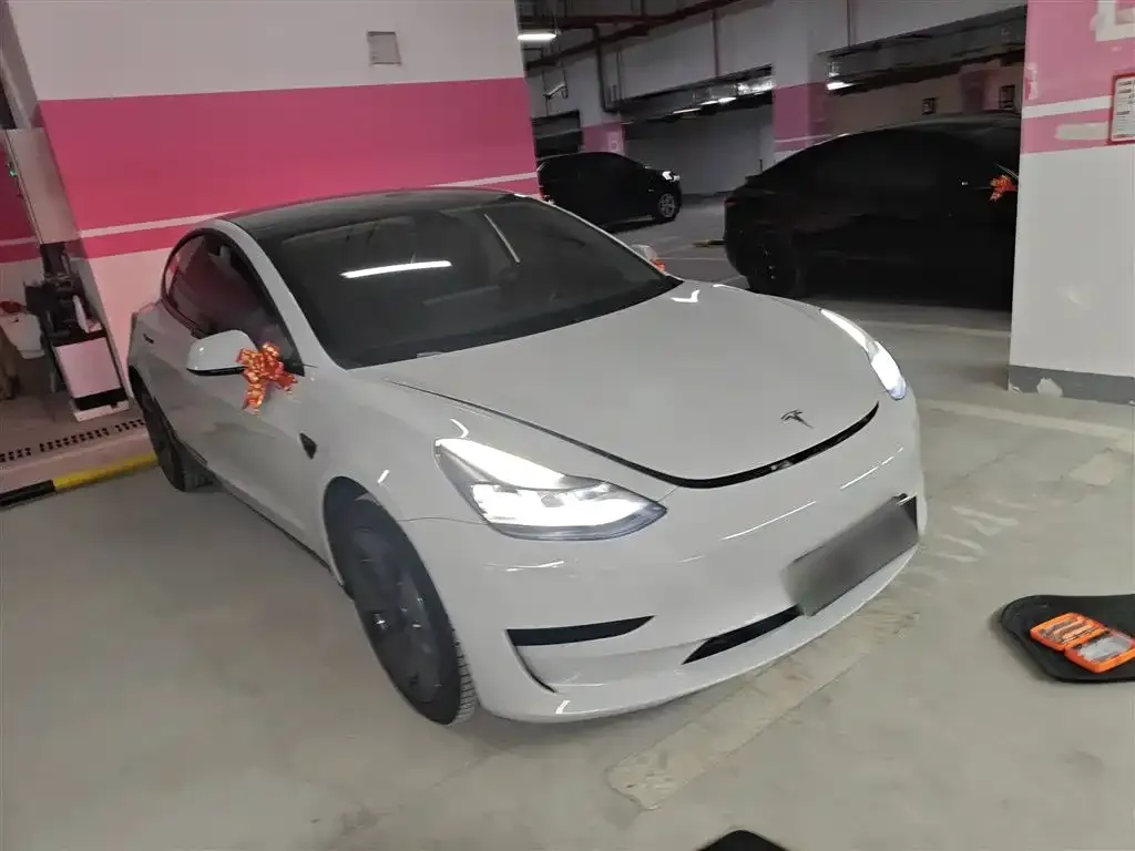 Tesla Model 3 2023 из CN, фото 4