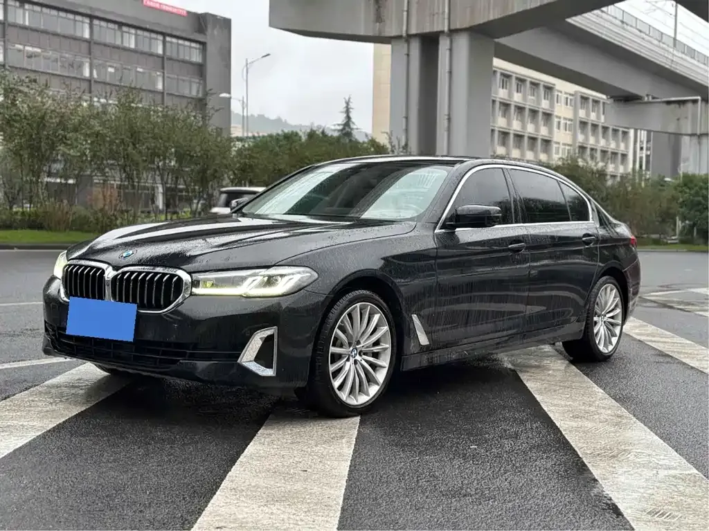 BMW 5 Series 2021 из CN, фото 1
