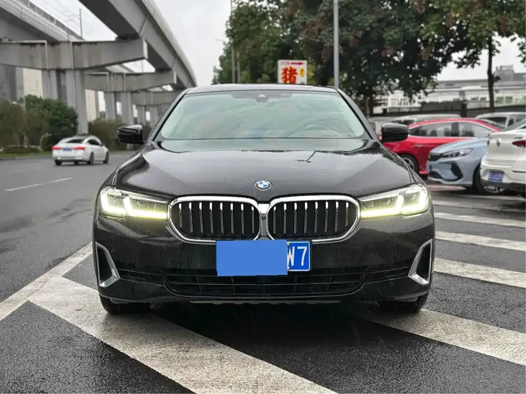 BMW 5 Series 2021 из CN, фото 3