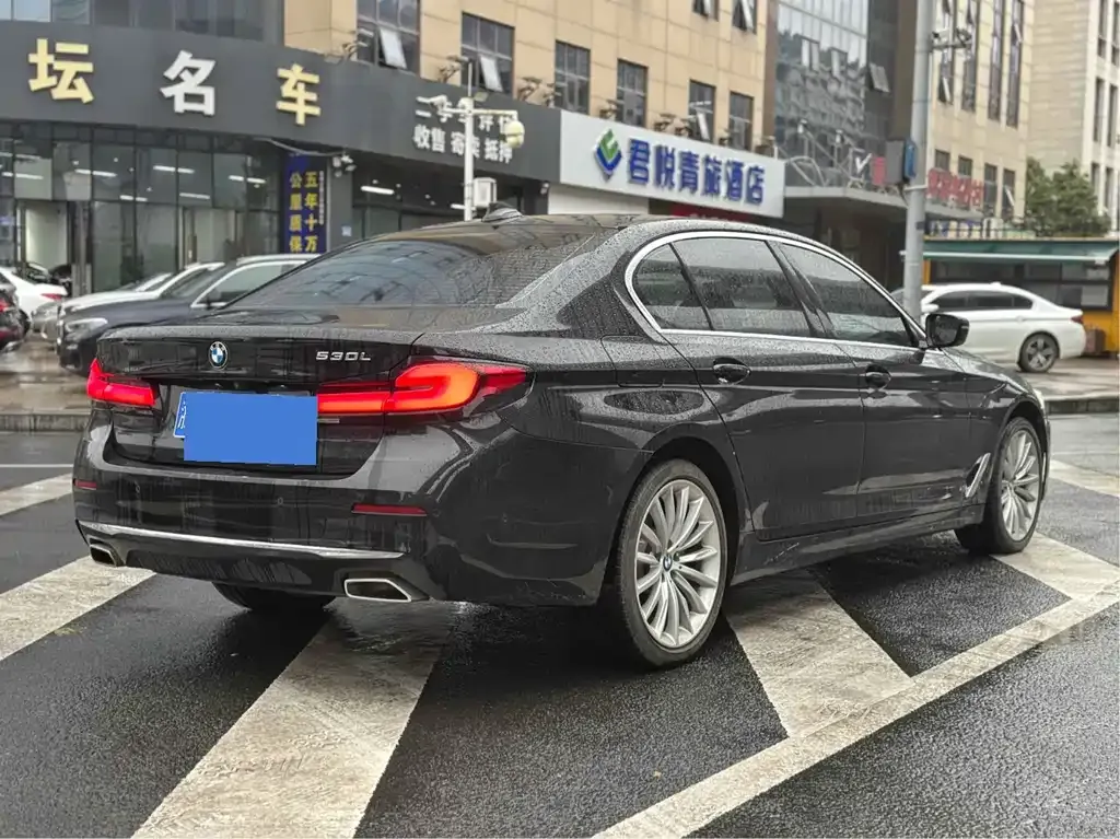BMW 5 Series 2021 из CN, фото 4