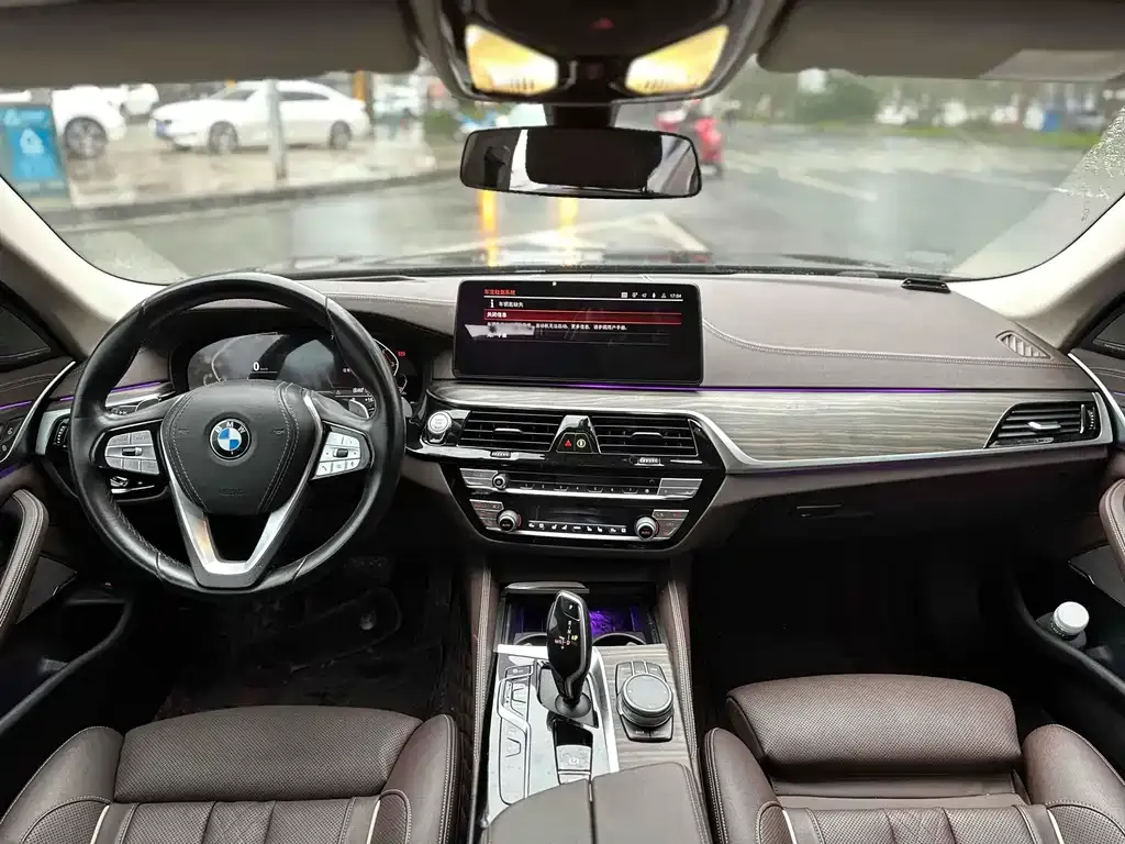 BMW 5 Series 2021 из CN, фото 5