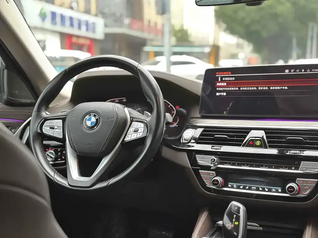BMW 5 Series 2021 из CN, фото 8