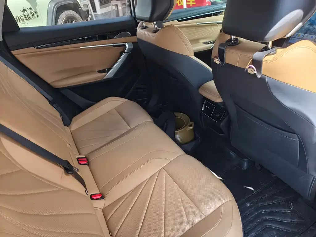 [object Object] Boyue L 2022 из CN, фото 8