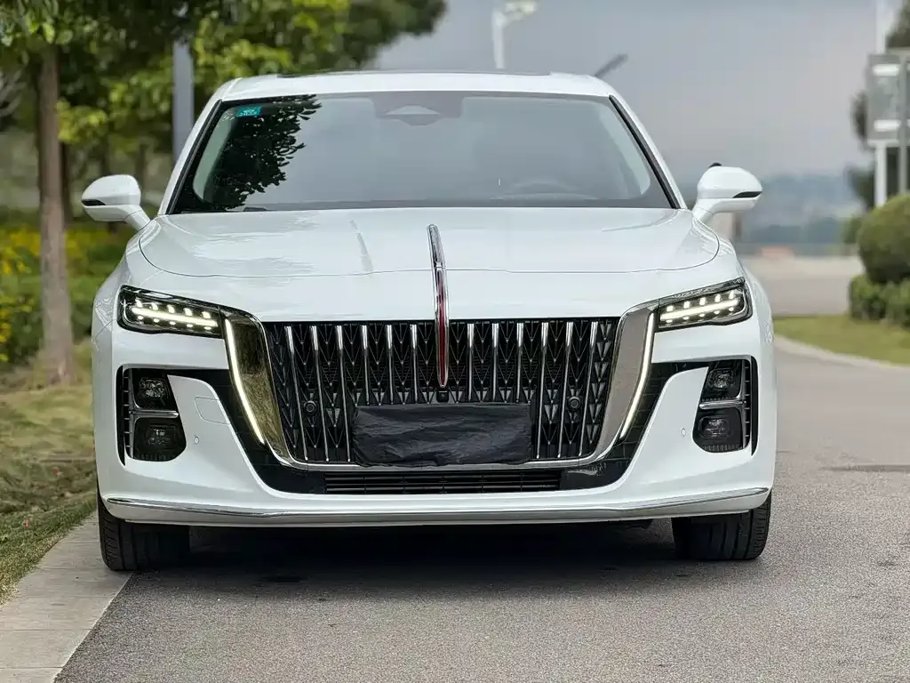Hongqi H5 2023 из CN, фото 2