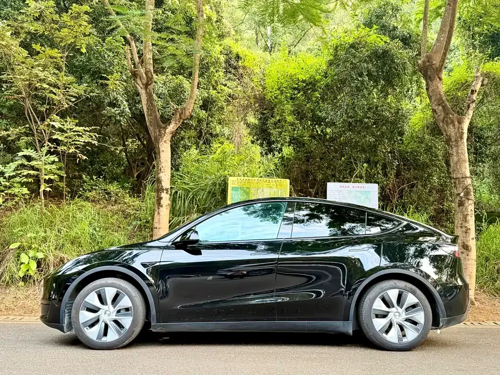 Tesla Model Y — фото 2
