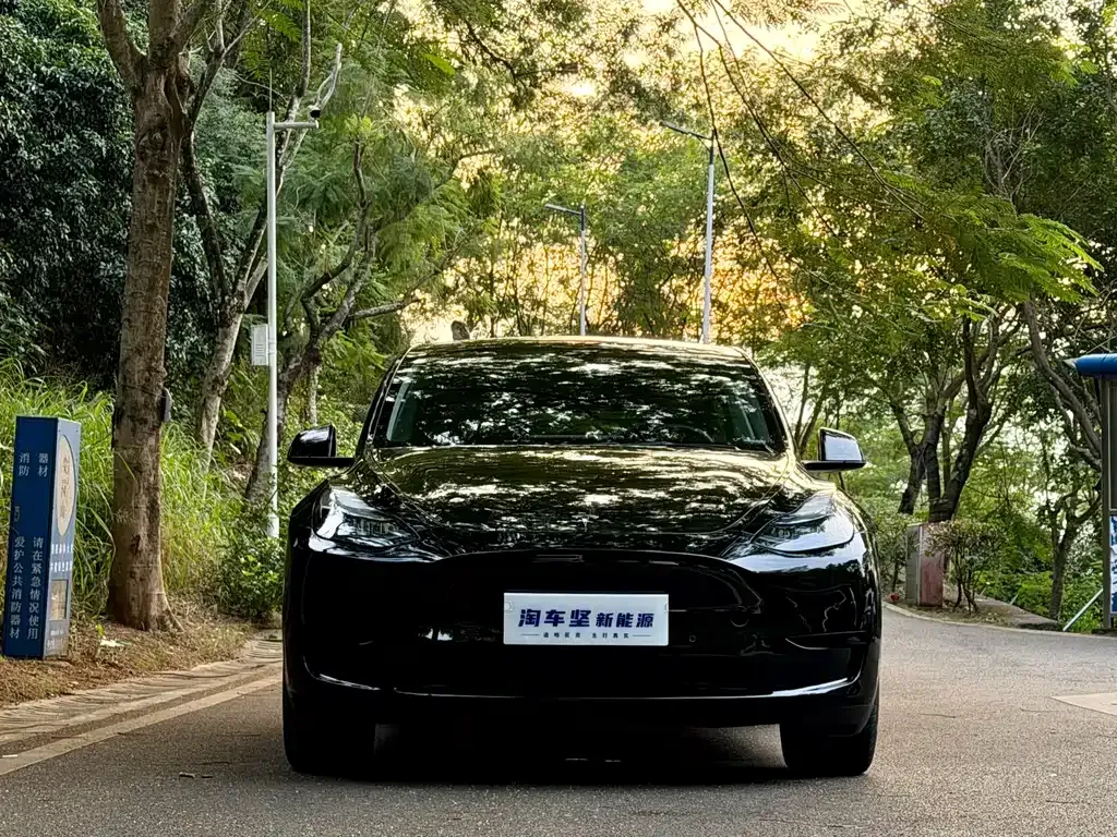 Tesla Model Y — фото 3