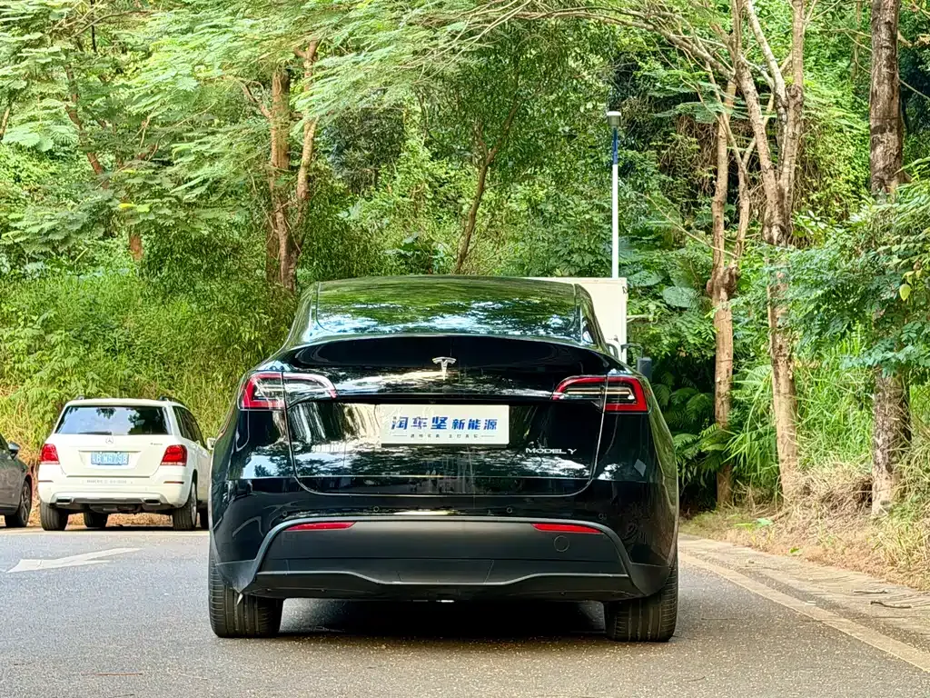 Tesla Model Y — фото 4