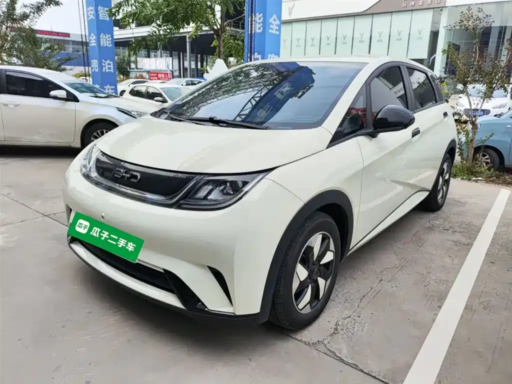 BYD Dolphin — фото 1