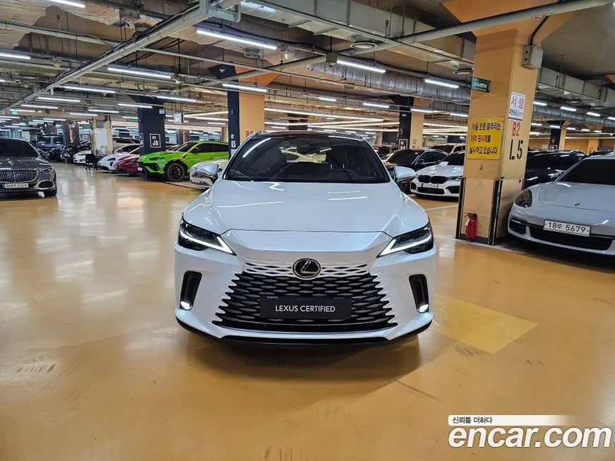 Lexus RX 2025 из KR, фото 3