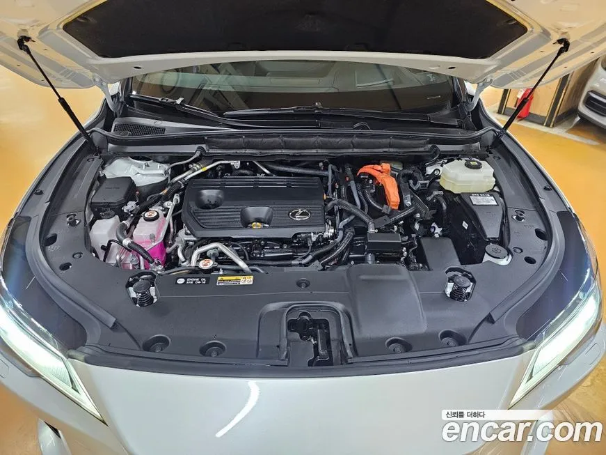Lexus RX 2025 из KR, фото 6